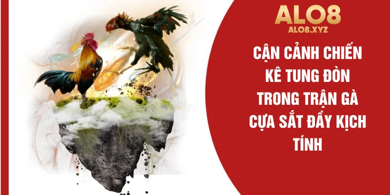 Cận cảnh chiến kê tung đòn trong trận gà cựa sắt đầy kịch tính