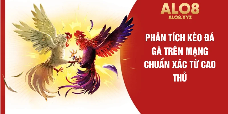 Phân tích kèo đá gà trên mạng chuẩn xác từ cao thủ