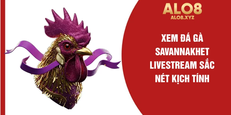 Xem đá gà Savannakhet livestream sắc nét kịch tính