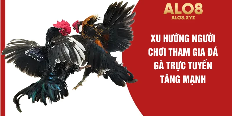 Xu hướng người chơi tham gia đá gà trực tuyến tăng mạnh